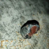 شهاب سنگ چند رنگ