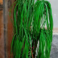 گل مصنوعی با گلدون