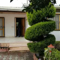 مشارکت در ساخت زمین 312 متر ساحلی در ایزدشهر