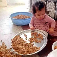 کار در کارگاه بادام شکنی  یزدانشهر