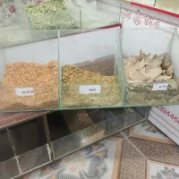 قفسه شیشه ای