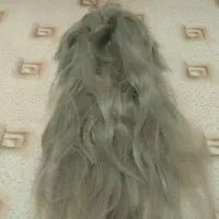 کلاه گیس جنس خوب ودرجه یک باقیمت بسیارمناسب|آرایشی، بهداشتی، درمانی|آزادشهر, |دیوار