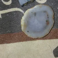 شجر و عقیق سلیمانی
