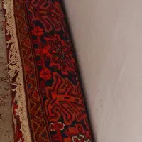 فرش طبیعی تازه از دار افتاده ۹متر|فرش|اهر, |دیوار