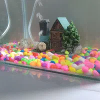 اکواریوم همراه باماهی|ماهی|ابهر, |دیوار