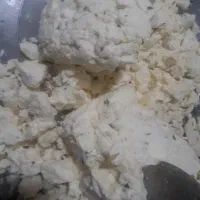 عسل زنبور عسل طبیعی کوهستان روغن حیوانی پنیر کوزه|خوردنی و آشامیدنی|تهران, آرژانتین|دیوار