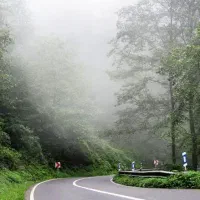 جواهرده ویلا دوبلکس ویو ابدی جنگل