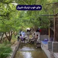 تور گردشکری یک روزه|تور و چارتر|شیراز, شهرک مدرس|دیوار
