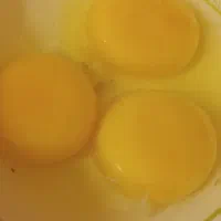 سفیده تخم مرغ و مایه تخم مرغ تازه و بهداشتی