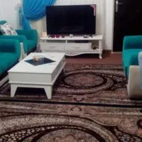 همخانه موجه بی حاشیه خاانم اندیشه فاز یک