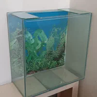 شیشه آکواریوم با پوست. داخل و اکسیژن