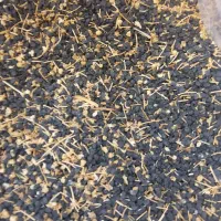 سلام بذر پیاز زرد