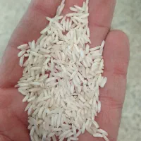 برنج و خرده برنج فجر شمالی درجه یک به شرط پخت|خوردنی و آشامیدنی|شیراز, تحویلی|دیوار