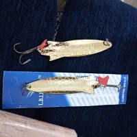 لنسرماهیگیری