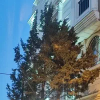 زمین تجاری ۴۶۰ متری رحمت‌آباد کلینیک پزشکی|فروش زمین و ملک کلنگی|شیراز, رحمت‌آباد|دیوار