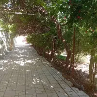 خانه-هزار-متری-با-قابلیت-سکونت-و-کارهای-تولیدی