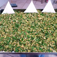 کتلت فلافل سوسیس بندری سمبوسه همبردستی|خوردنی و آشامیدنی|شیراز, پارک کوهستانی بوستان|دیوار