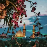 تور اقتصادی کربلا