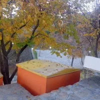 واگذاری بوفه واقع در پارک امیریه