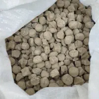 فروش کلگ تازه