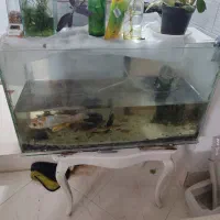 آکواریوم ارزان