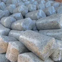 تفا له چغند ر