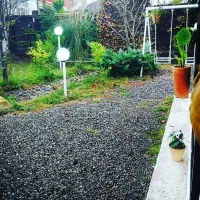 650 متر رستوران|اجارهٔ مغازه و غرفه|رشت, جانبازان|دیوار