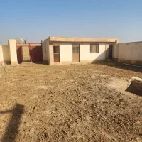 دامداری-مناسب-پروش-دام-سبک