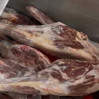 گوشت تنظیم بازار(بازارچه غدیر)