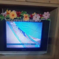 تلویزیون پاناسونیک