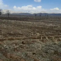 ۶۰ هکتار سنددار با آب قناعت ۲۴ ساعته|فروش زمین و ملک کلنگی|تهران, حبیب الله|دیوار