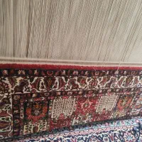 قالی ۱/۵در ۲/۵ دست باف|فرش|فارسان, |دیوار