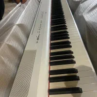 پیانو پرتابل p225 white|پیانو، کیبورد، آکاردئون|ارومیه, |دیوار