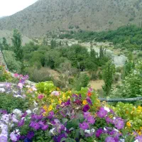 فروش یک قطعه زمین در جبالبارز شمالی