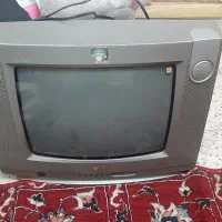 تلویزیون