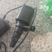 آکواریون ماهی