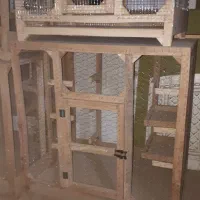 قفس کبوتر فنچ عروس کوتوله مرغ خروس بلدرچین کفتر|لوازم جانبی حیوانات|مشهد, طبرسی شمالی|دیوار