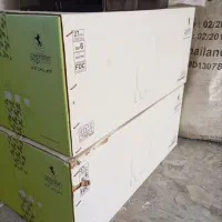 سرویس ظرف چینی  قاشق چنگال قالی