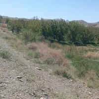 دگار لوته تیس هستی