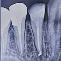 جویای کار دکتر دندانپزشک
