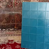 ۳۰۰ هزار تومن تخفیف ویژه داره