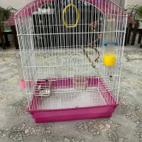 قفس پرنده