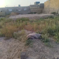 زمین فروشی شمس طبسی 1