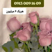 0913.522.0010|سیم‌کارت|یزد, |دیوار