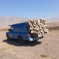 خریدانواع چوب و درخت