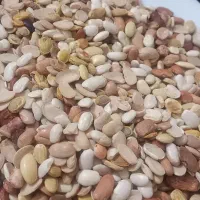 لوبیا و عدس|خوردنی و آشامیدنی|اهواز, حصیرآباد|دیوار