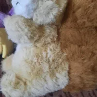 سلام|اسباب‌‌بازی|زابل, |دیوار