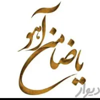 مشهد با هواپیما، ارزونتر /*/از تاکسی رفتوبرگشت