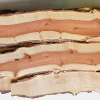 چوب مخصوص معرق به سبک تفکیک رنگ