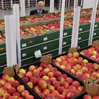 استخدام خانم در سورتینگ